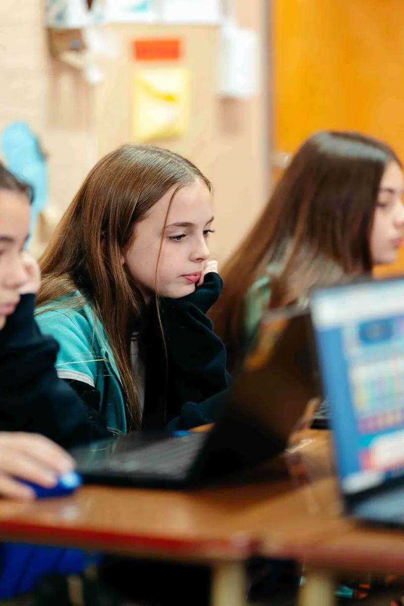 Proyectos escolares